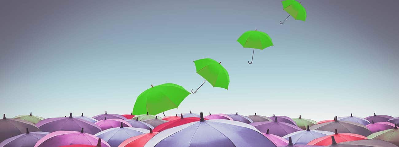 Elout Consulting ICT Management Consultants Elout Consulting ICT Management Consultants