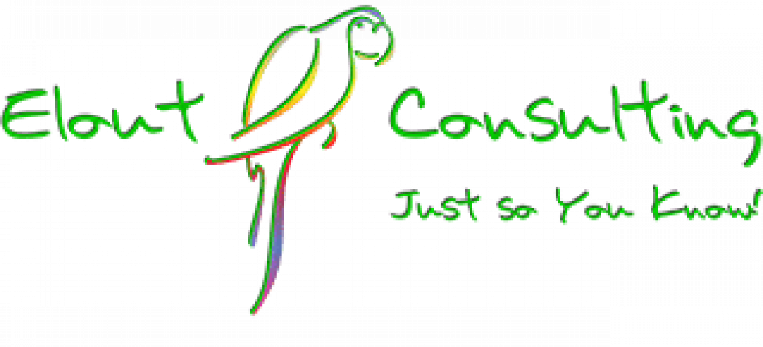 elout consulting